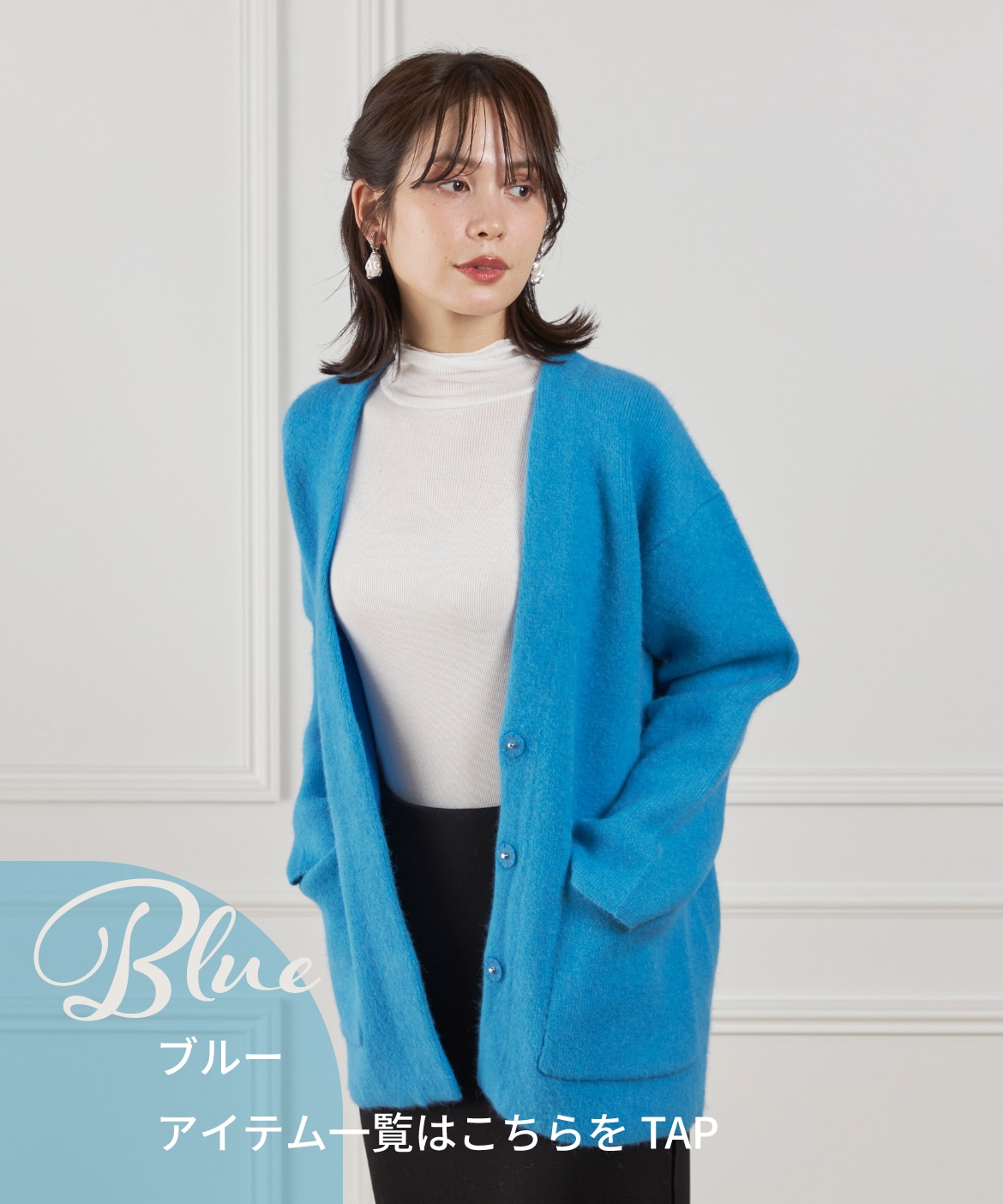 �y�u���[�z�A�C�e���ꗗ�͂�����